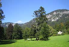Park Linderhof