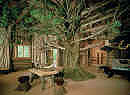 Picture: Hunding's Hut