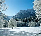 Bild: Park Linderhof im Winter