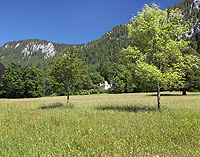 Park Linderhof