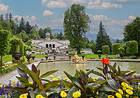 Link to the Water Parterre and royal lime tree