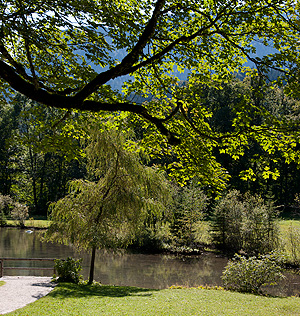 Picture: Swan pond on the way from the ticket office to the palace