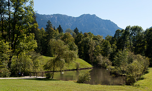 Bild: Schwanenweiher am Weg von der Kasse zum Schloss