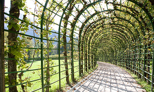 Picture: Pergola