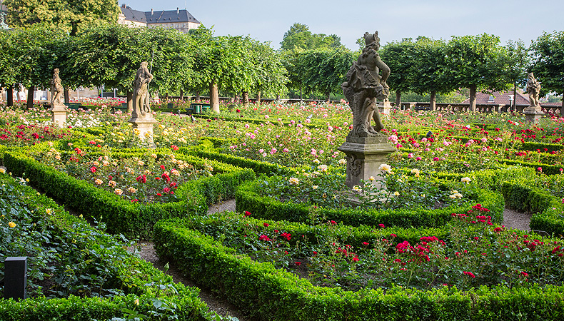 Bild: Rosengarten Bamberg